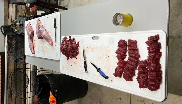 big game processing, big game processing setup, hunting processing equipment, game processing surface, field processing station