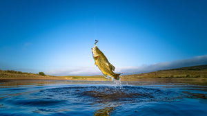 Gear Up for Summer and Deep Sea Fishing Adventures with TRAPSKI’s Durable Fishing Rod Holder Rack - TRAPSKI