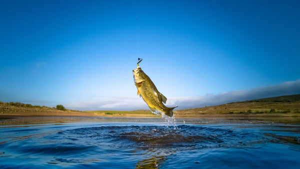 Gear Up for Summer and Deep Sea Fishing Adventures with TRAPSKI’s Durable Fishing Rod Holder Rack - TRAPSKI