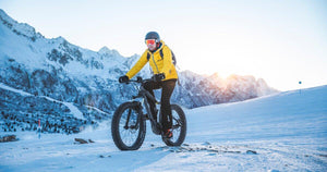 Ride the Trails, Shred the Snow: TRAPSKI Bike and Ski Racks - TRAPSKI