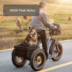 Alaskan Etrike