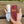 Camel Bone EDC Skinner Knife for outdoors-Buy now-0027