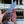 D2 Knuckle Bowie Knife Wenge Wood Full Tang Leather sheath