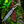 Damascus Stag Handle Bowie Knife Full Tang