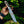Damascus Stag Handle Bowie Knife Full Tang