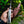 Damascus Stag Handle Bowie Knife Full Tang