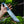 Damascus Tracker Bowie Knife Resin Handle Outdoor Sheath