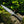 Feather Damascus Bowie Knife G10 Handle Leather Sheath
