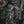 M-Tac Pouch for Tourniquet Elastic MOLLE Gen.II