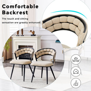 Dining Chairs For Dining Room & Kitchen (Set of 2)