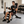 2-in-1 Weight Bench for Home Gym