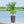 30 in Tall Large Flower Pot Planter with Self-Watering Drainage Holes