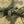M-Tac Backpack Sturm Elite