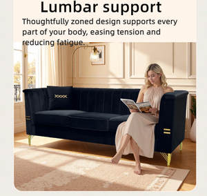 FX-P82-BK2 Modern Velvet 3-Seater Sofa with 2 Pillows