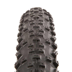 Schwalbe Rapid Rob