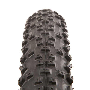 Schwalbe Rapid Rob
