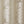 Palm Leaf Burnout Window Sheer Natural 50x84 Inches