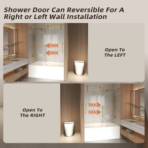 56-60" x 66" Frameless Sliding Bathtub Door
