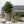 Large Outdoor Indoor Planter Set of 3
