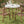 U_STYLE 5-Piece Outdoor Dining Set with Acacia Wood Chairs
