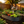 Galvanized Raised Garden Bed 8x4x1ft