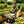 Folding Poly Garden Dump Truck with Steel Frame and Pneumatic Tires