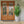 Flowerpot, Planter For Patio, Garden, Windowsill