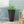 Outdoor Modern Cast Stone Planter