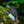 Compact D2 Hunting Knife | Fixed Blade with G10 Handle