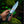 Damascus Bowie Hunting Knife with G10 Handle & Leather Sheath