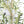5' Artificial Olive Tree