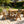2 Piece HIPS Outdoor Dining Chair Perfect For Patio Meal Togethers & Garden Brunch Relaxation Moments