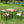All Weather 5-Piece Patio Dining Table Set