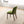 Kaitlyn - Comfort Dining Chair (Set of 2)