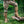 M-Tac Boot Gaiters Elite