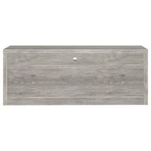 Bergeron - 2 Drawer TV Stand - Driftwood