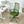 Ergonomic Colorful Office Chair