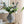 Multi-Tiered Geometric Vase with Smoked Glass Finish