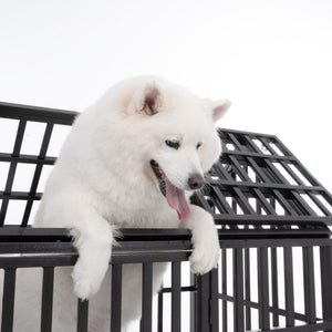 Heavy Duty Dog Crate Lockable Wheels