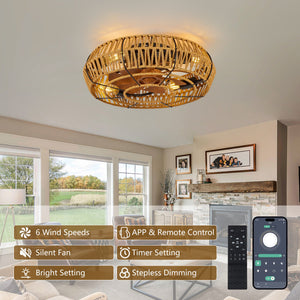 19" Caged Ceiling Fan with Lights and Remote