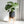 Large Round Planters Set of 2