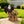 Majestic Eagle Garden Planter Pot on Tree Stump Base