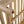 Light Teak Finish Acacia Wood Chaise Lounge Frame