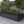 8×4×1.5 ft Galvanized Raised Garden Bed