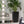 Indoor Outdoor Planter With Automatic Watering System