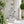 Climbing Children Garden Statues