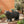 MGO Bear Bench - Concrete Outdoor Bench