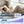 Flush Mount Ceiling Fans With LED Light And Remote Control, 5 Blades