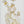 Wall Arts (Set of 2) - Multicolor