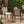 Outdoor Dining Chair Set with Acacia Wood & Wicker Rattan
